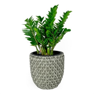 Benjara Wiki 15&quot Self Watering Planter- Handwoven Rattan Wicker- Gray