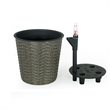 Benjara Wiki 10
