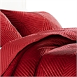 Benjara Ahab 2 Piece Twin Quilt Set with 1 Pillow Sham- Dutch Velvet Face- Red