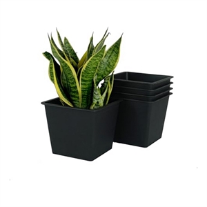 Benjara Kiti 6&quot Set of 5 Square Nursery Planter Pots with Drainage- Black