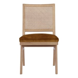 Benjara Isha Cane Side Dining Chair Set of 2- Cushioned Seat- Gold and Brown