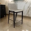 Benjara Cid Due 26