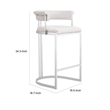 Benjara Cid Lisa Counter Stool Chair- White Faux Leather- Stainless Steel Legs