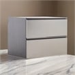 Benjara Osy Wall Mounted Garage Utility Cabinet- 2 Sliding Drawers- Gray- Chrome