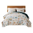 Benjara Carie 3pc King Quilt Set- Coastal Seashell Print- Blue Cotton Microfiber