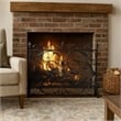 Benjara Fireplace Screen- 45