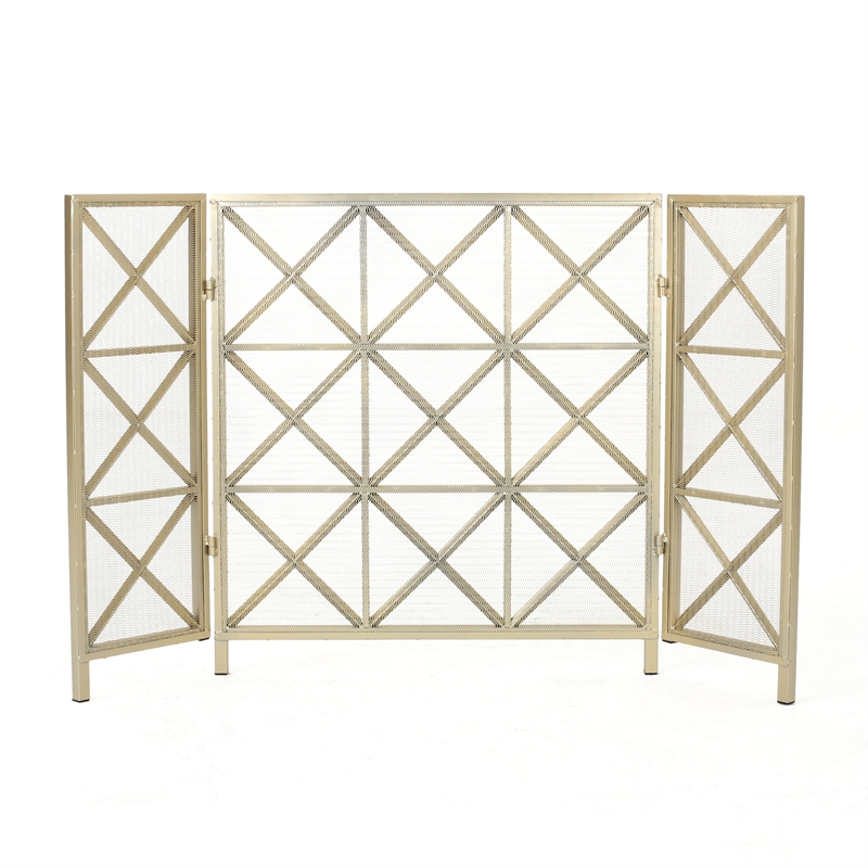 Benjara Fireplace Screen-49