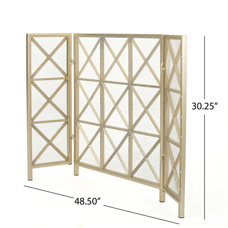 Benjara Fireplace Screen-49