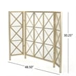 Benjara Fireplace Screen-49