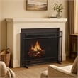 Benjara Hype Fireplace Screen with Mesh- Single Panel- Black and Silver