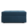 Benjara Low Accent Ottoman with Storage- 31