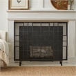 Benjara 31x41 Fireplace Screen with Mesh- Contemporary Design- Black- Silver