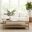 Benjara Tuley Coffee Table- Storage Shelf- Reclaimed Pine Wood- Gray- 48 Inch