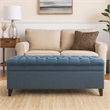 Benjara Rhya Storage Ottoman Bench- Soft Blue Fabric- Black Wood- 50 Inch