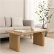 Benjara Executive Desk- 62