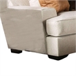 Benjara Adow Loveseat- 3 Accent PIllows- 75
