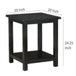 Benjara Ayne Side End Table- 1 Bottom Shelf- Black Wood Frame- Square 20 Inch