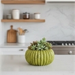 Decorative Planter - Melon Shape - Vertical Ribbed Texture - Green Ceramic