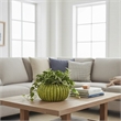 Decorative Planter - Melon Shape - Vertical Ribbed Texture - Green Ceramic