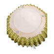 Decorative Planter - Melon Shape - Vertical Ribbed Texture - Green Ceramic
