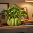 Decorative Planter - Melon Shape - Vertical Ribbed Texture - Green Ceramic