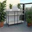 Benjara Gwen Plant Stand with 3 Mirrored Shelves- Black Metal Frame 40 Inch