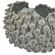 Benjara Nina Decorative Bowl- Light Blue- Textured Coral Gray Ceramic- 11 Inch