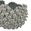 Benjara Nina Decorative Bowl- Light Blue- Textured Coral Gray Ceramic- 11 Inch