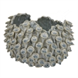 Benjara Nina Decorative Bowl- Light Blue- Textured Coral Gray Ceramic- 11 Inch