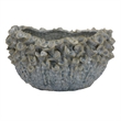 Benjara Nina Decorative Bowl- Light Blue- Textured Floral Gray Ceramic 13 Inch