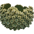 Benjara Nina Decorative Bowl- Textured Green Ceramic- Abstract Coral- 11 Inch