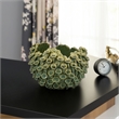 Benjara Nina Decorative Bowl- Textured Green Ceramic- Abstract Coral- 11 Inch