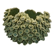 Benjara Nina Decorative Bowl- Textured Green Ceramic- Abstract Coral- 11 Inch
