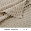 Benjara Xumi 2 Piece Twin Size Quilt Set- Beige Channel- Polyester and Cotton
