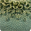 Benjara Nina Vase- Green Ceramic- Textured Accents- Abstract Floral 11 Inch