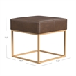 Benjara Kai Ottoman Footstool- Brown Faux Leather- Gold Metal- 18