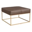 Benjara Kai Ottoman- Brown Faux Leather and Gold Metal- 28