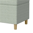 Benjara Fero Storage Ottoman- 24