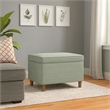 Benjara Fero Storage Ottoman- 24