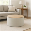 Benjara Mesy Storage Ottoman- 30