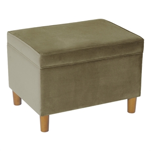 Benjara Fero Storage Ottoman- 24in Rectangular Hinged Lid- Sage Green Velvet