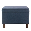 Benjara Fero Storage Ottoman- 24