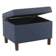 Benjara Fero Storage Ottoman- 24