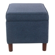 Benjara Fero Storage Ottoman- 24