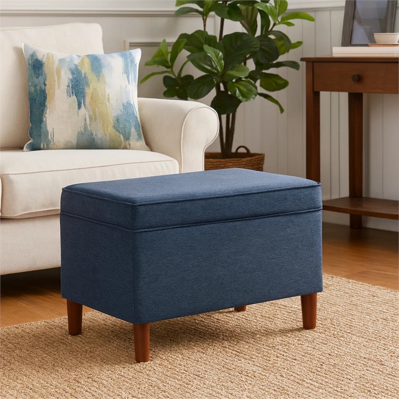 Benjara Fero Storage Ottoman- 24