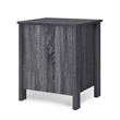 Benjara Nightstand Dresser- 2 Storage Drawers- 23 Inch- Modern Dark Gray
