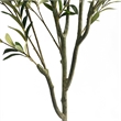 Benjara Vina Artificial Olive Tree- Realistic Green Silk Leaves- 59 Inch