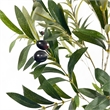Benjara Vina Artificial Olive Tree- Realistic Green Silk Leaves- 71 Inch