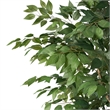 Benjara Deso Artificial Ficus Tree- Green Leaves w Twisted Trunk- 71 Inch