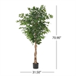Benjara Deso Artificial Ficus Tree- Green Leaves w Twisted Trunk- 71 Inch